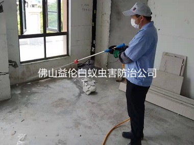平洲新装修房屋预防白蚁