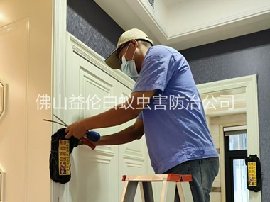 三洲住宅白蚁防治工程