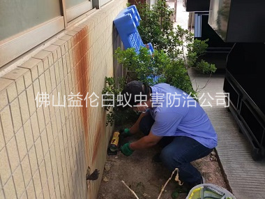更楼投放灭鼠装置工程