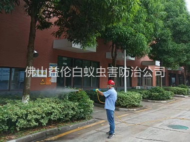 新圩住宅小区蚊虫防控工程
