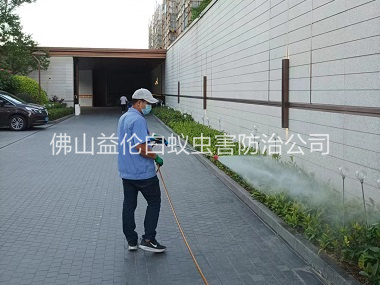 荷城企业厂区消杀蚊蝇工程