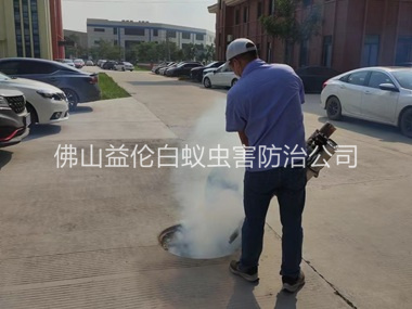 高明登革热防控消杀工程