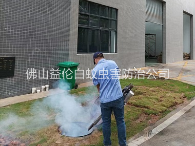 合水厂区杀蟑螂蚊蝇工程