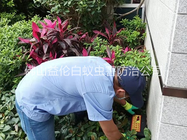杨梅住宅环境灭鼠工程